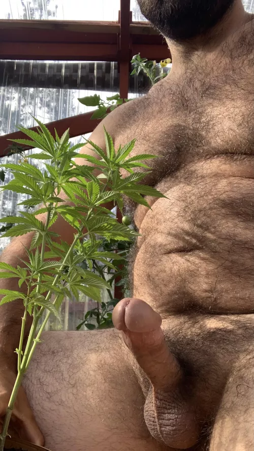 (M)issing summer by PreviousPricePizza