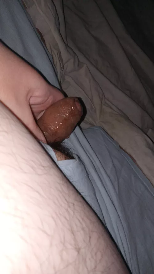 Need to get this fat little dick hard hmu for snap by Horny_Fatboy
