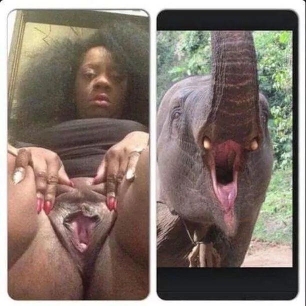 Nice posted by SpencerL1997