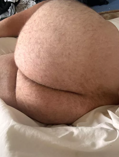 Please come and fuck my juicy ass I’m begging for it daddy x🤤 by Small-Pitch-2076