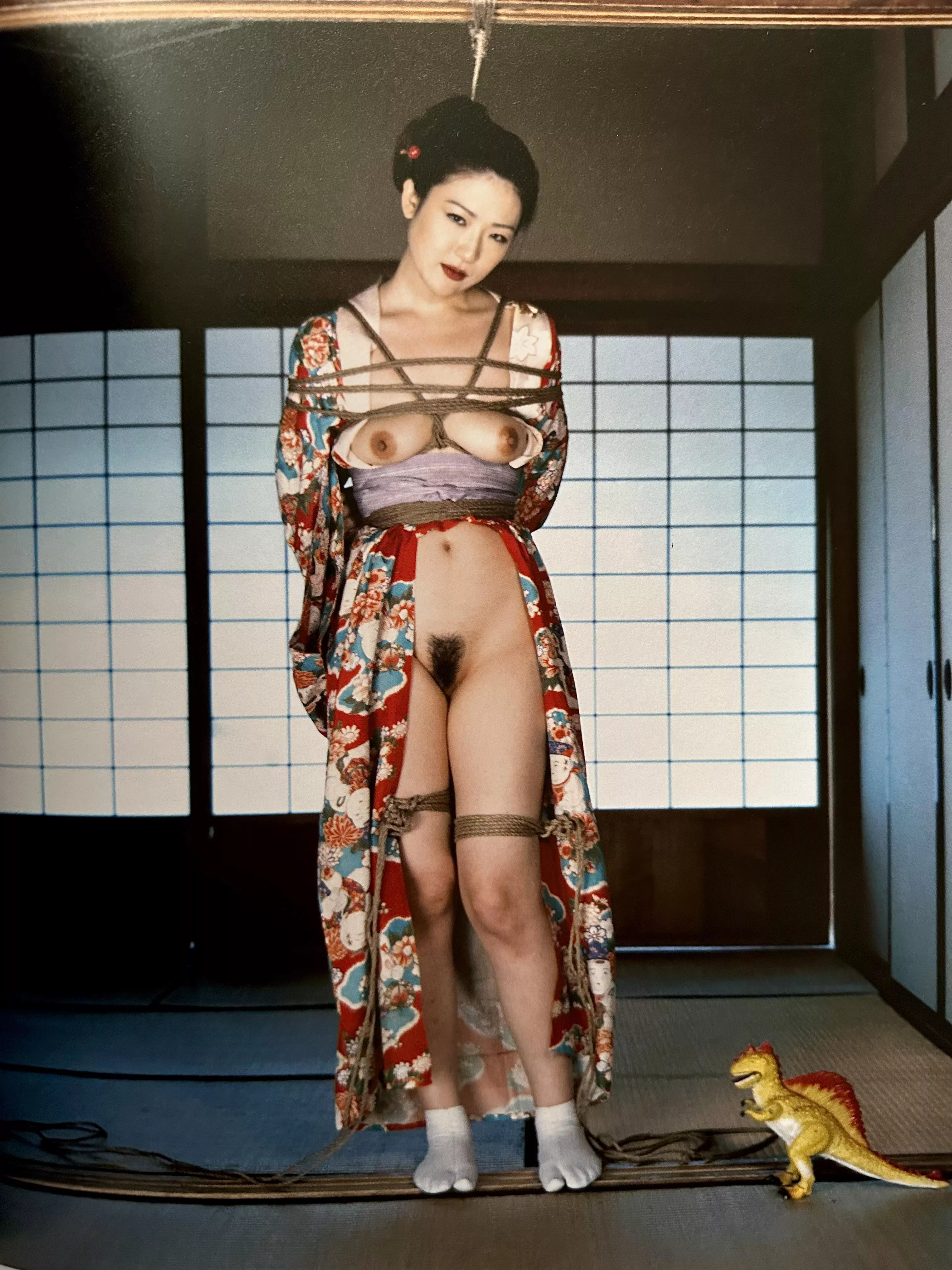 Please tell me who your favorite shibari artist is. Right now I’m obsessed with my Nobuyoshi Araki bondage book! Everytime I think I found my favorite photo, I find another I love even more.  posted by FloraBlumez