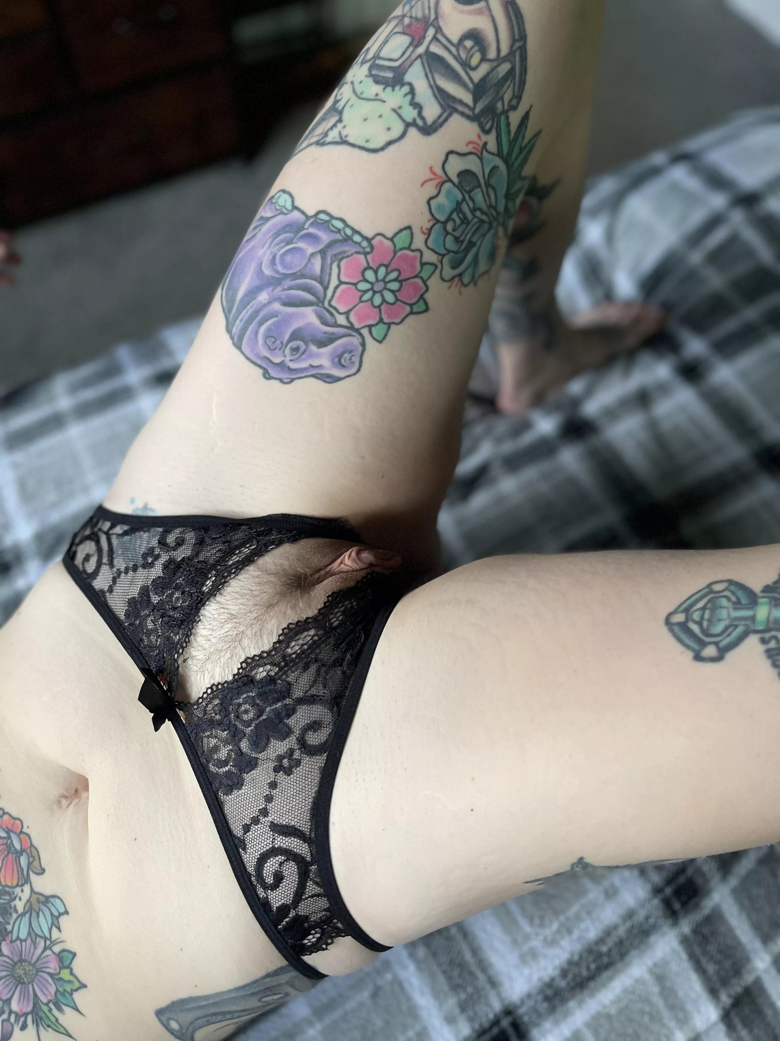 Plenty to lick on posted by nakieplantlady