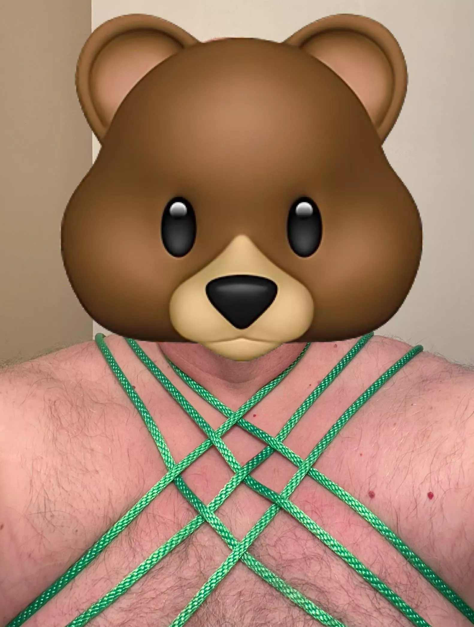 Quick weave harness posted by sekels