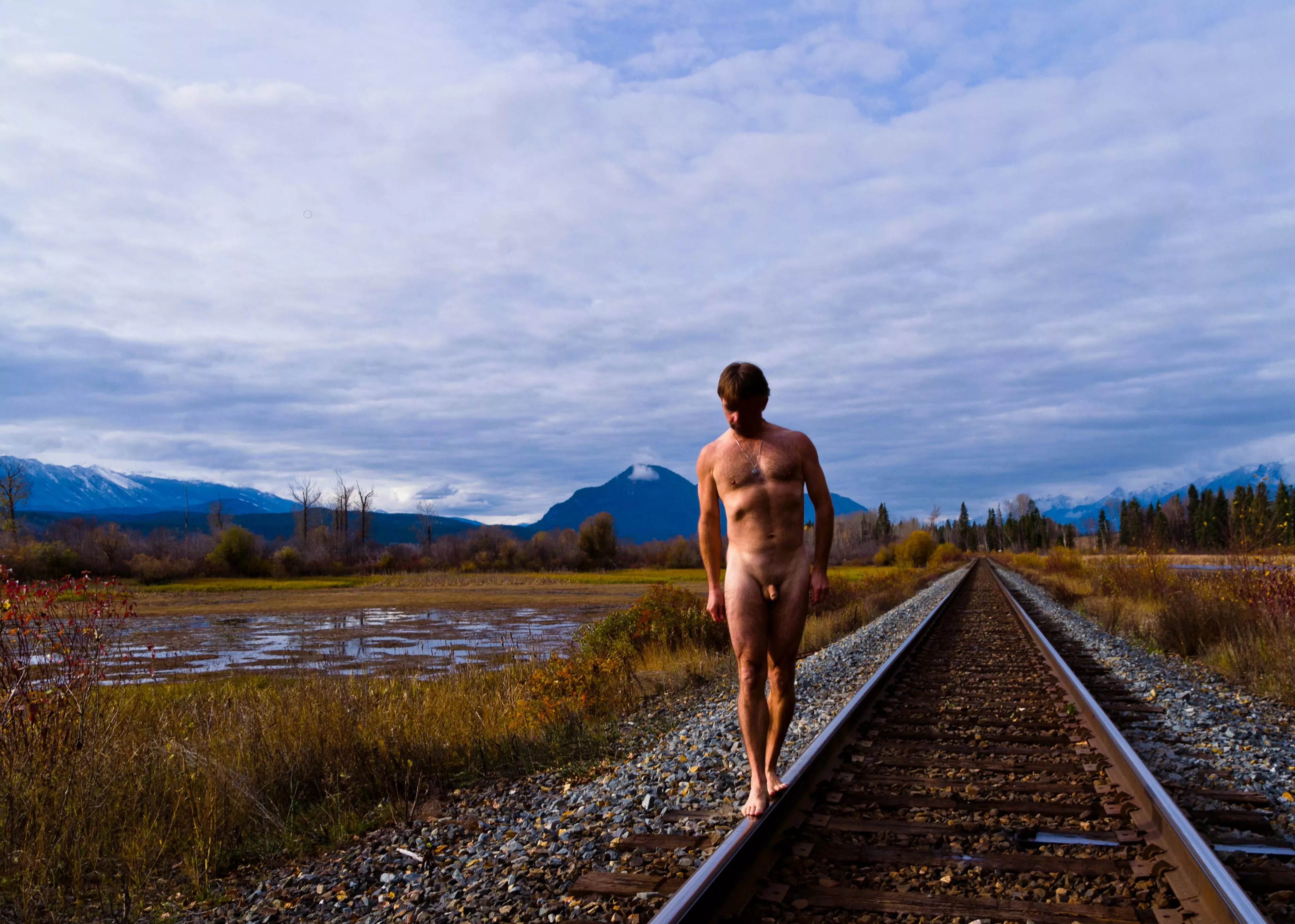 rolling down the tracks posted by littlePeter6969