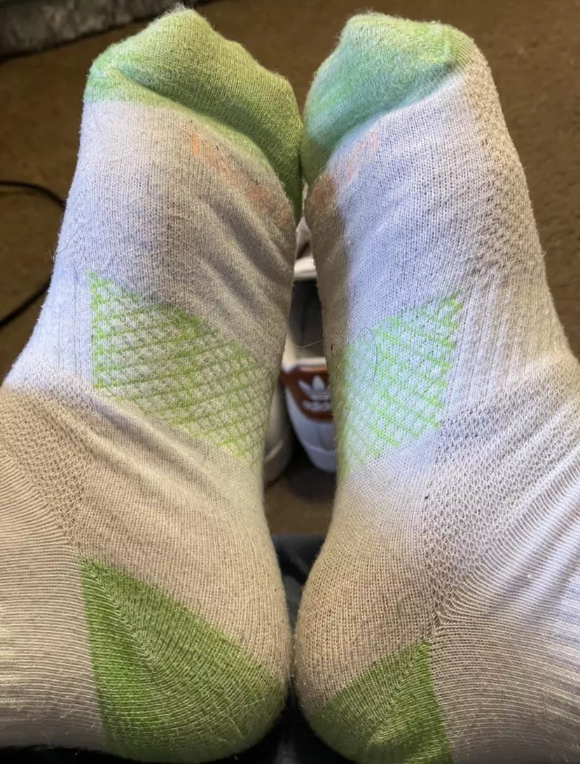 [Selling] Get a face full of 5 days of wear. The stink is sooooo good 🧀🧦 posted by Tattoo_Goddess420