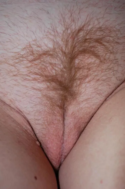 Shave or not ? by Zrzecka