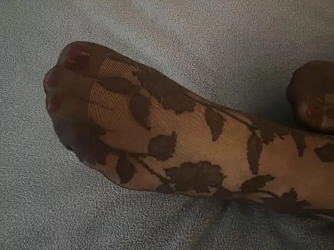 Sweet smelling nylon toes for you tonight  by beatrixxxfeet