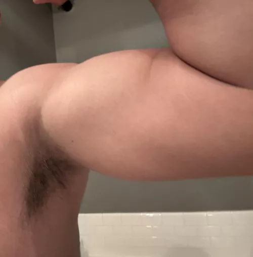 Work in progress  by Zeebraguy