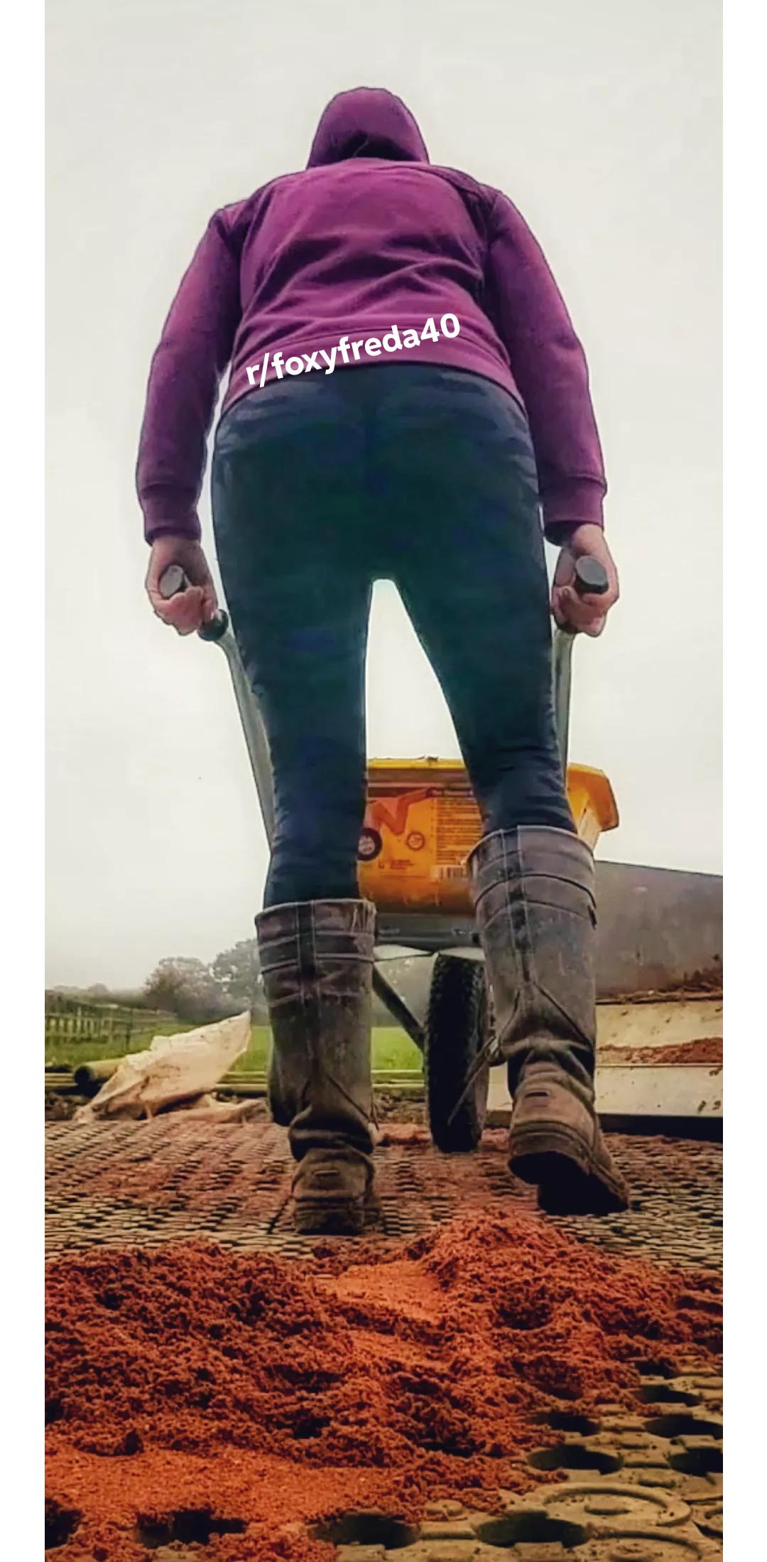 You can either bend me over the barrow or I can sit can your face posted by foxyfreda40