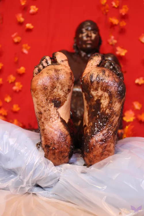 Mud with the autumn leaves by CraziC-C