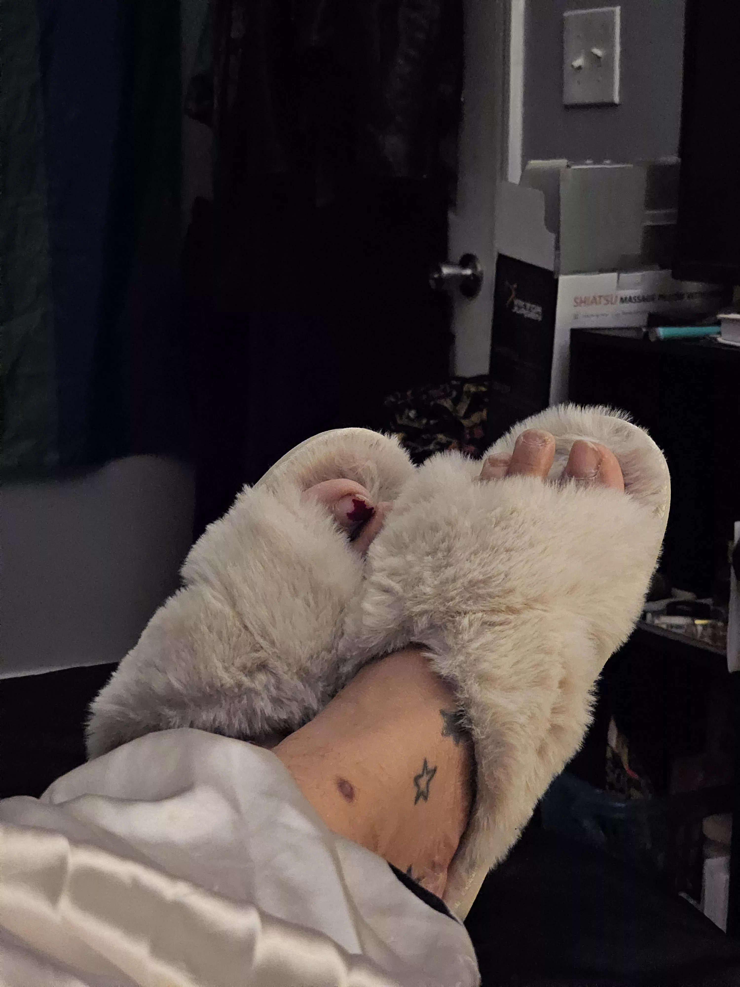 New slippers posted by Fearless-Hammer