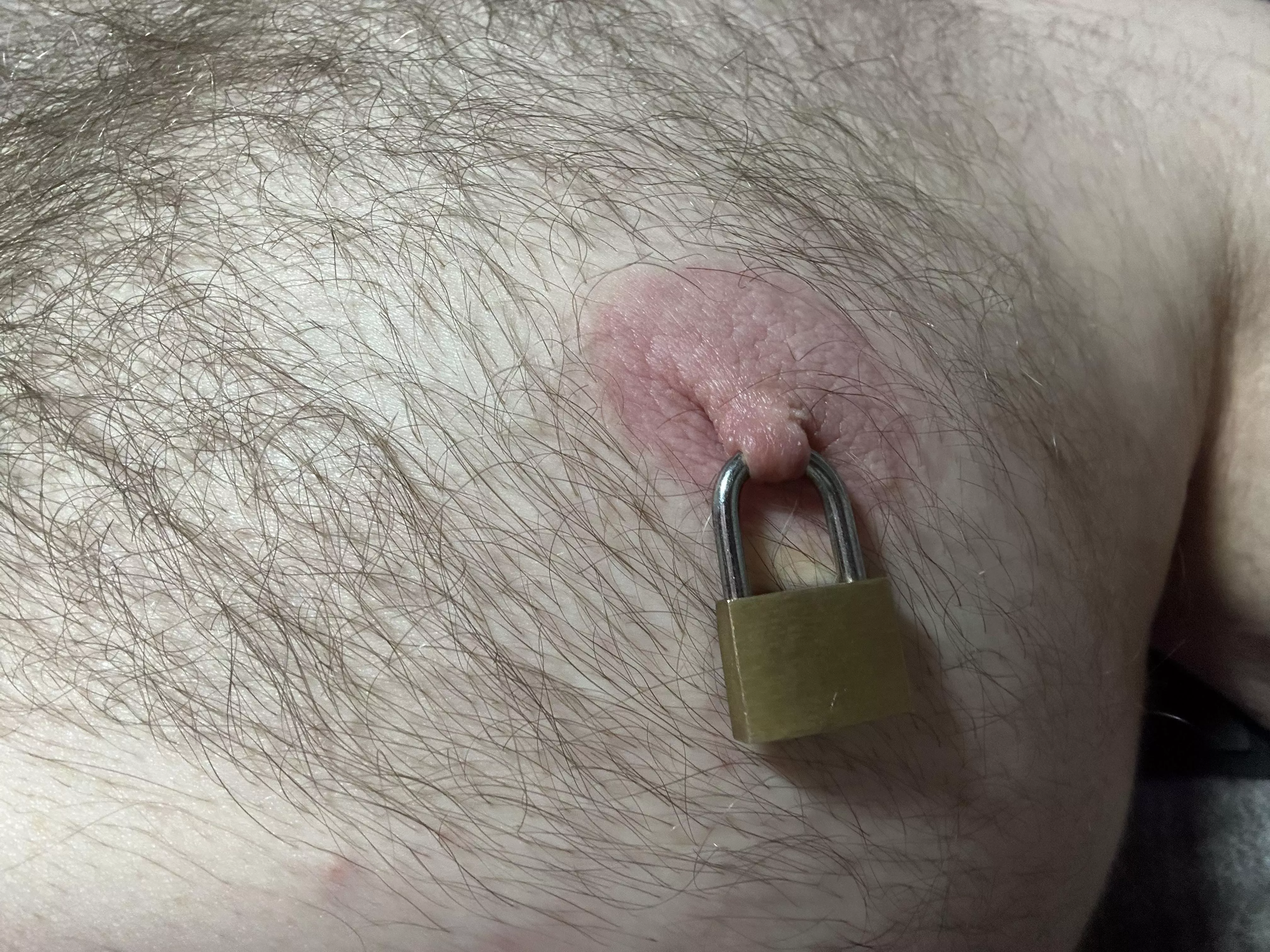 Padlock posted by catfish-camaro