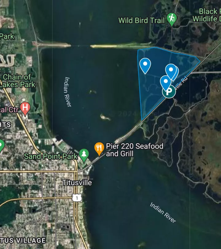 Puckett Creek Nude Beach is Free. posted by NorthBrevardNatFL