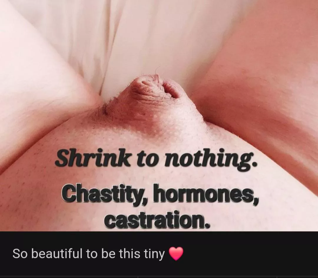 Whitebois Destiny  posted by mbamike2021