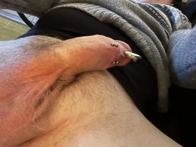 Brand new frenum piercings to go with my pa! by Relative_Training539