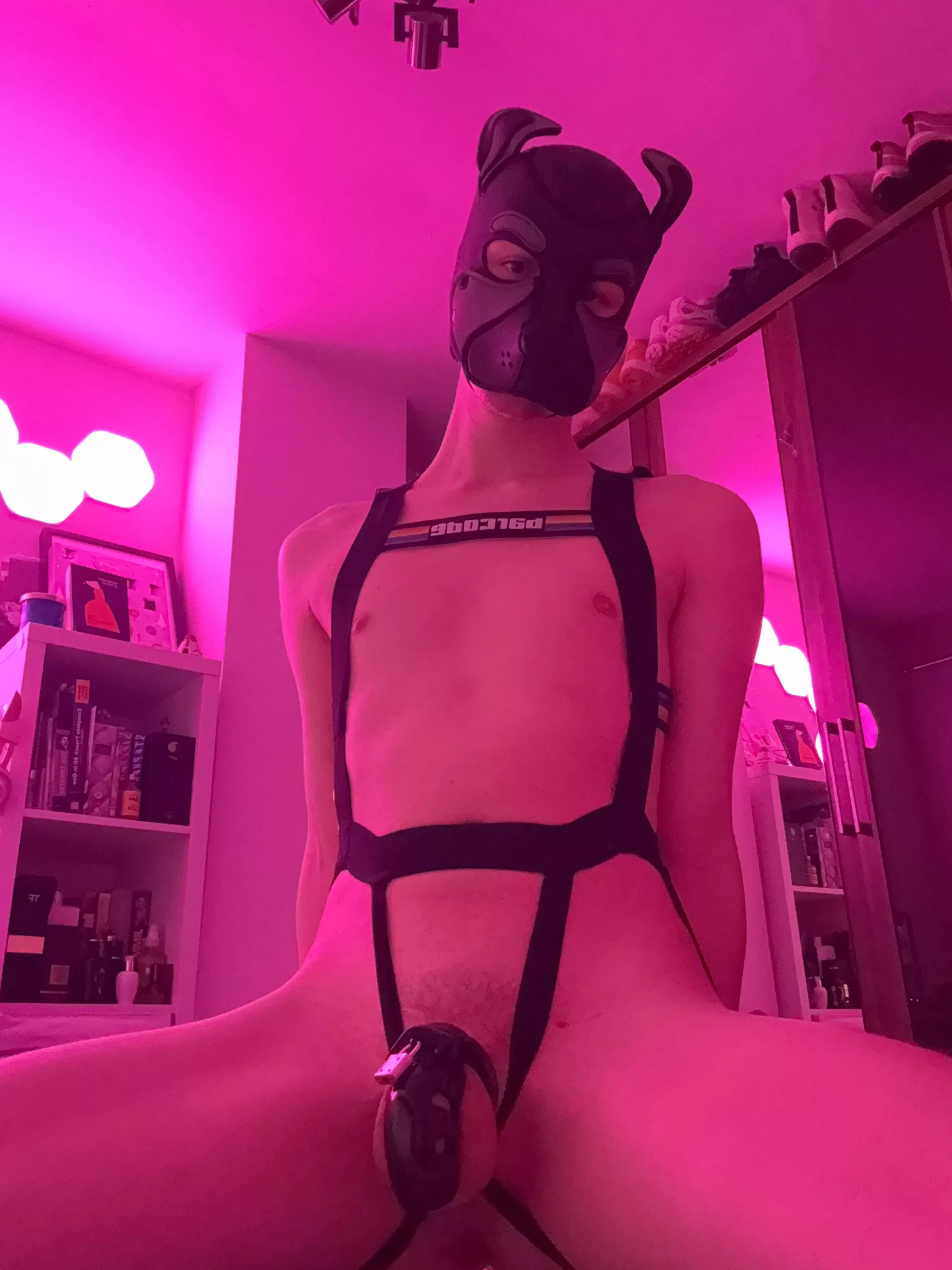 On this sub’s recommendation I got a tighter cage… was I good 🥹 posted by pray_for_my_safety