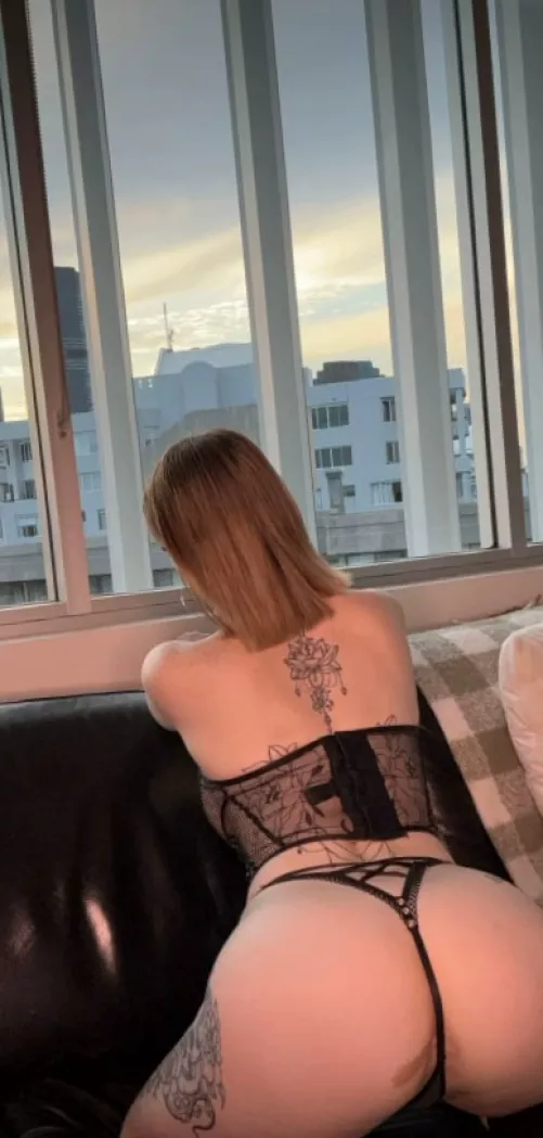 They're really hungry so try to feed them by Dazzlegalxo