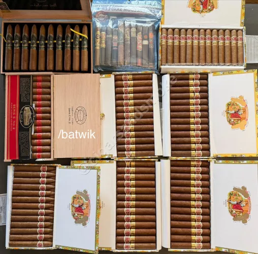 Today’s arrivals  by batwik