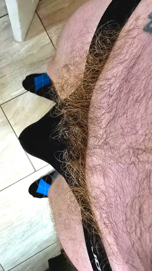 Bush fans by GingeryDuty