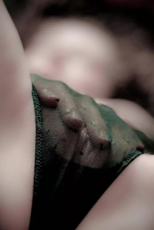 Exterminate the brutes by GarbegeMan