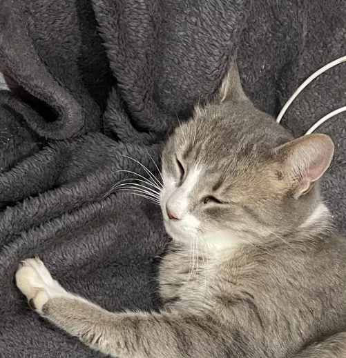 I love to see the group developing so good! What posts would make your wallets more weak and will touch you brain and soul more boys? Write in comments and I am sure the Ladies will be nice to you!  by TheClassyGoddess