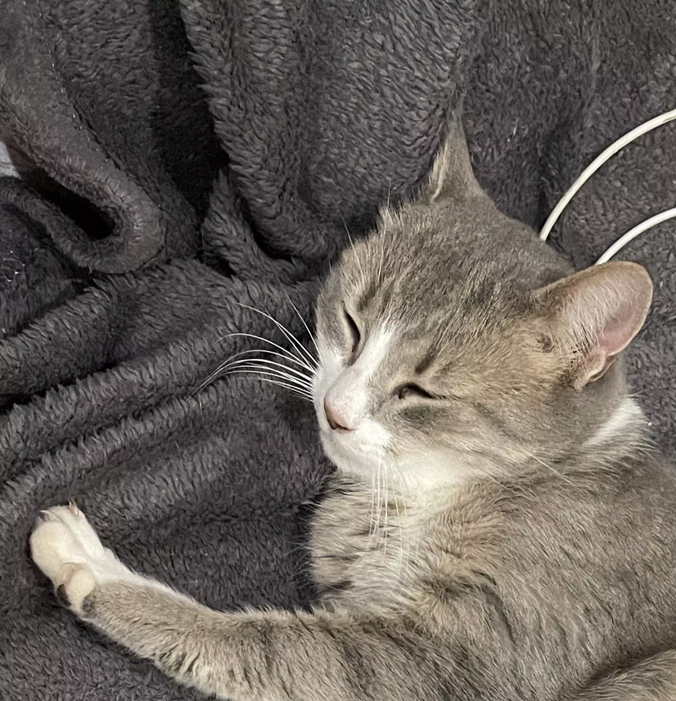 I love to see the group developing so good! What posts would make your wallets more weak and will touch you brain and soul more boys? Write in comments and I am sure the Ladies will be nice to you!  posted by TheClassyGoddess