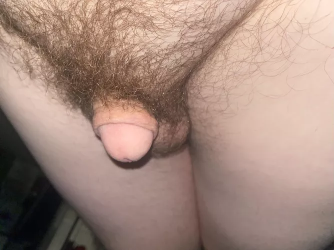 My little nub  by GolfonGrass311