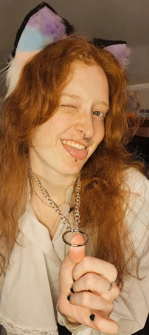 Take my collar and lead me around! This kitty needs a good owner 🎀 by CaliVHawken