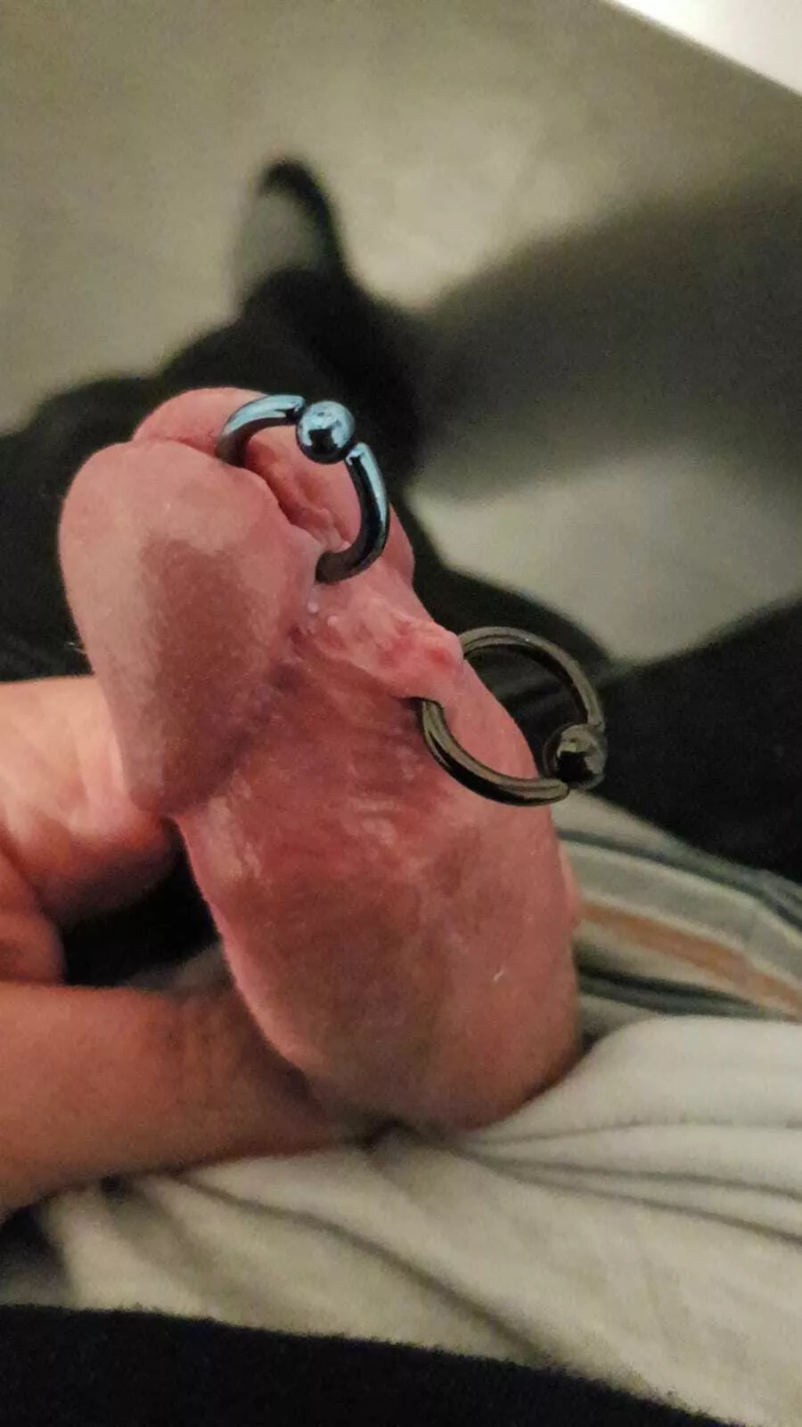 would you like to fuck me, ladies? posted by Darkerness83