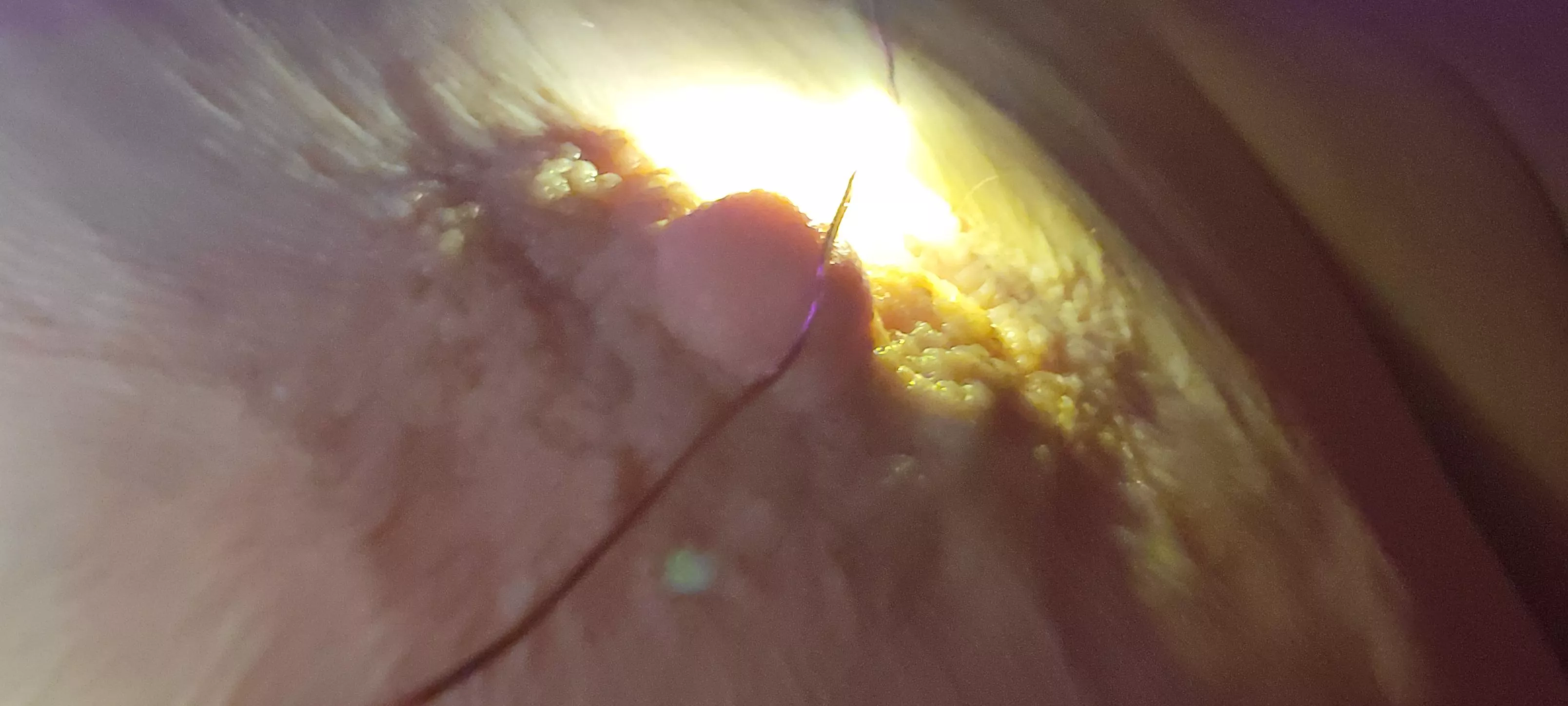 Wrinkled....mmmmm posted by NastyLittleNyxie