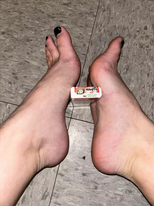 Festive arches by sirenskiss3