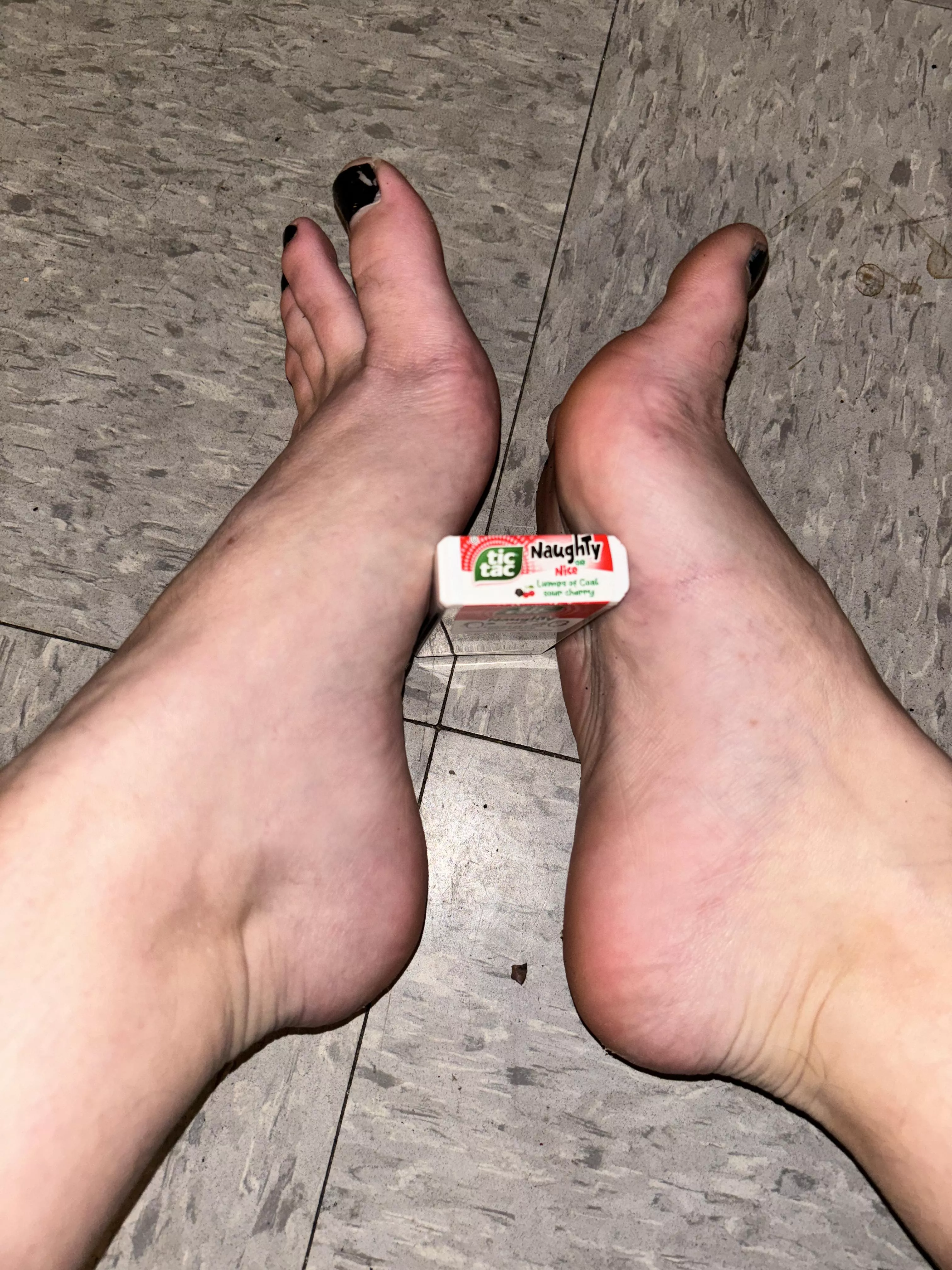 Festive arches posted by sirenskiss3