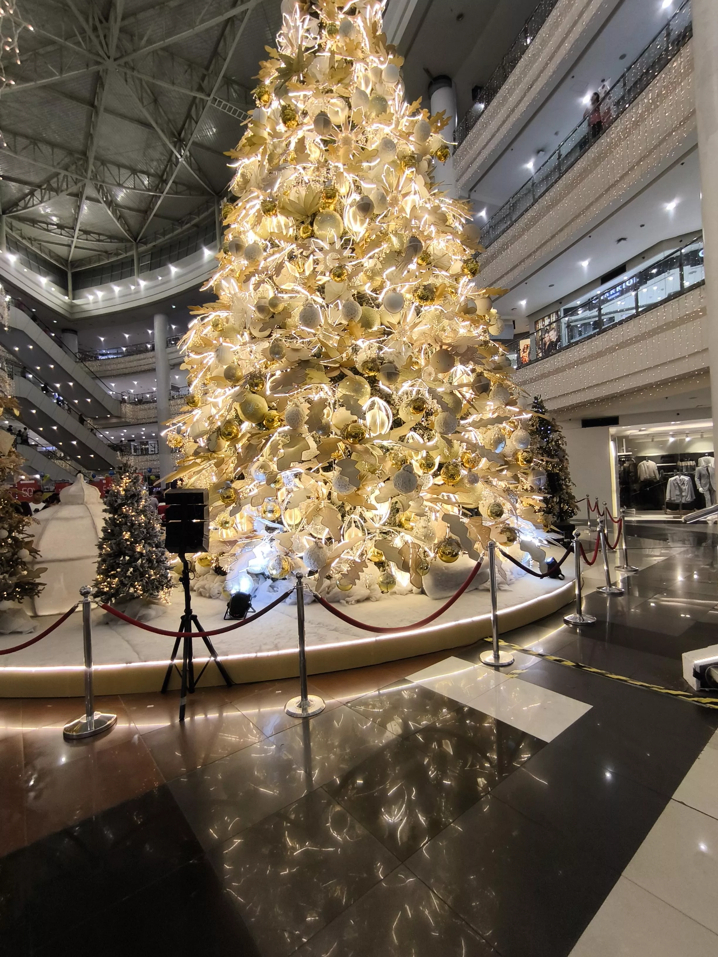 For legit walker here i vouch u/spankmenormal069 ♥️🤙 for excellent services !! Always reach her on TG @Athreyja para mas mabilis niya kayo mareplyan haha posted by Lopsided_Fix1400