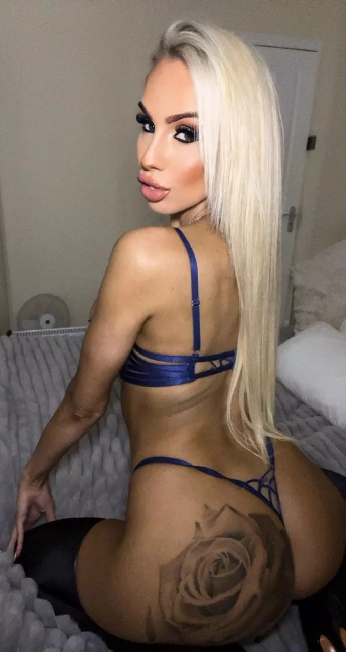 You wish you could take my holes for a ride.  posted by AmbassadorNo540