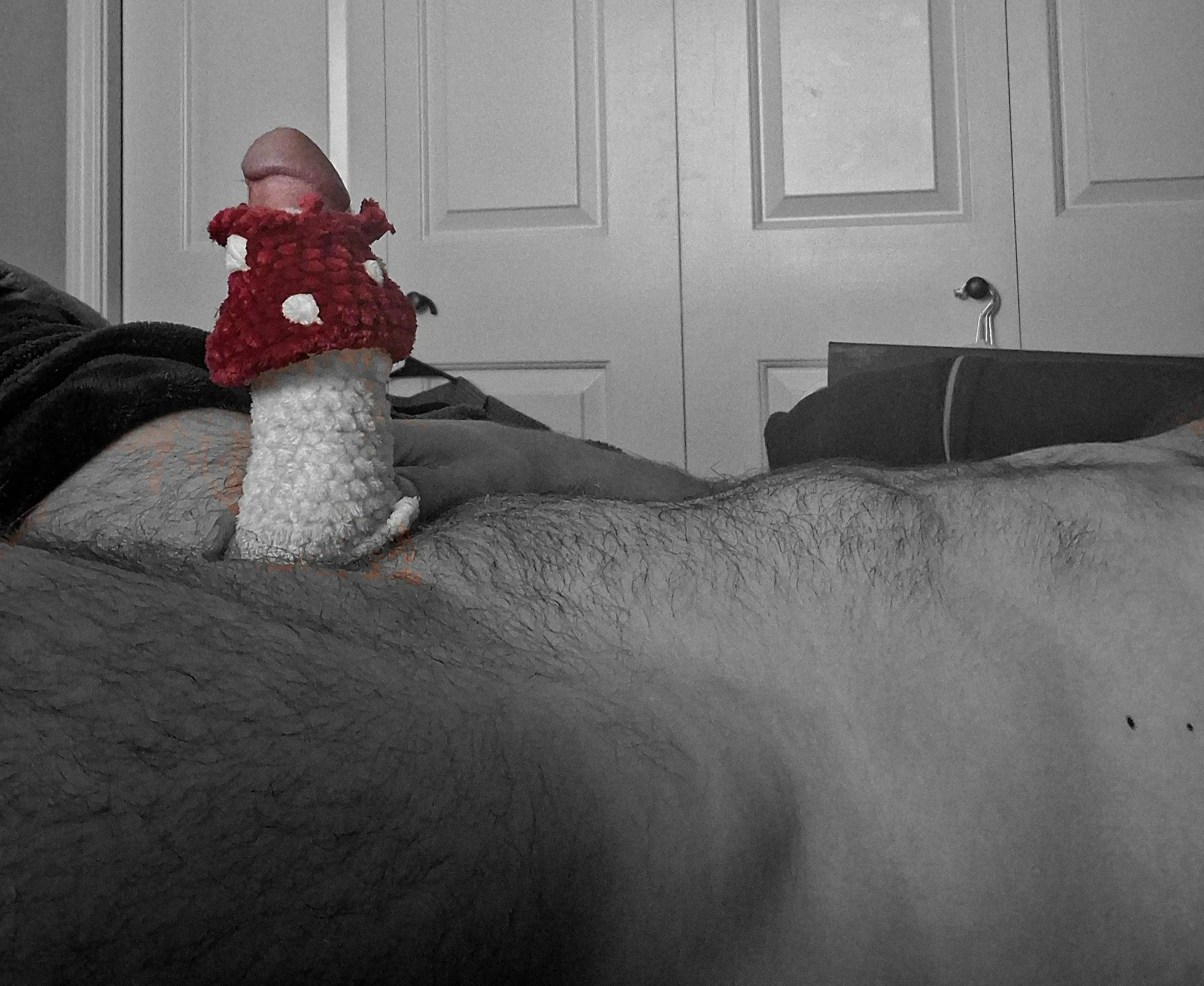 A mushroom sprouts to spread its spores posted by Live_Fuel8474