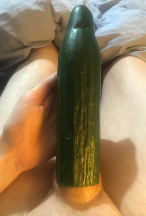 CuCUMber posted by haaretzdave9
