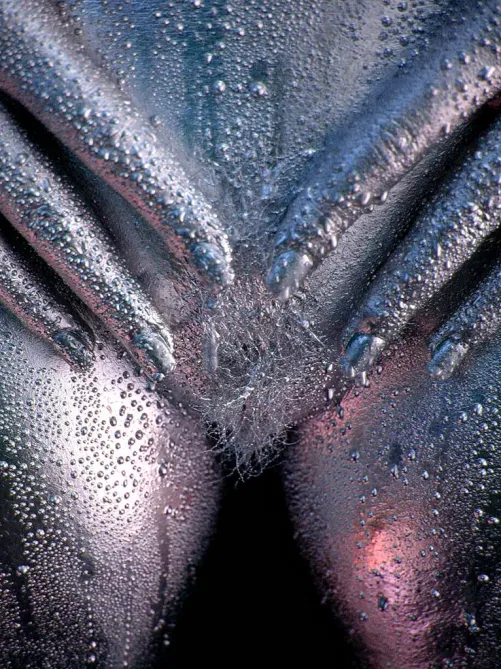 Droplets, Metallic Bodypaint & Photography, by FleshandColor by fleshandcolor