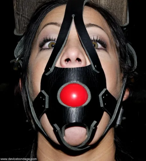 Harness gags are the best gags by PossibleAct5650