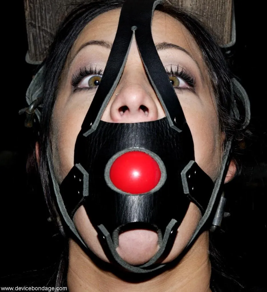 Harness gags are the best gags posted by PossibleAct5650