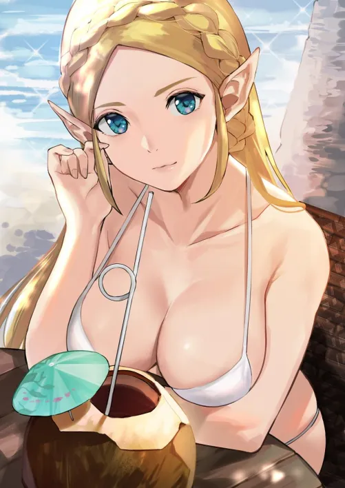 Summer Zelda (J@CK on Pixiv) [Breath of the Wild] by TheDerpSpoon