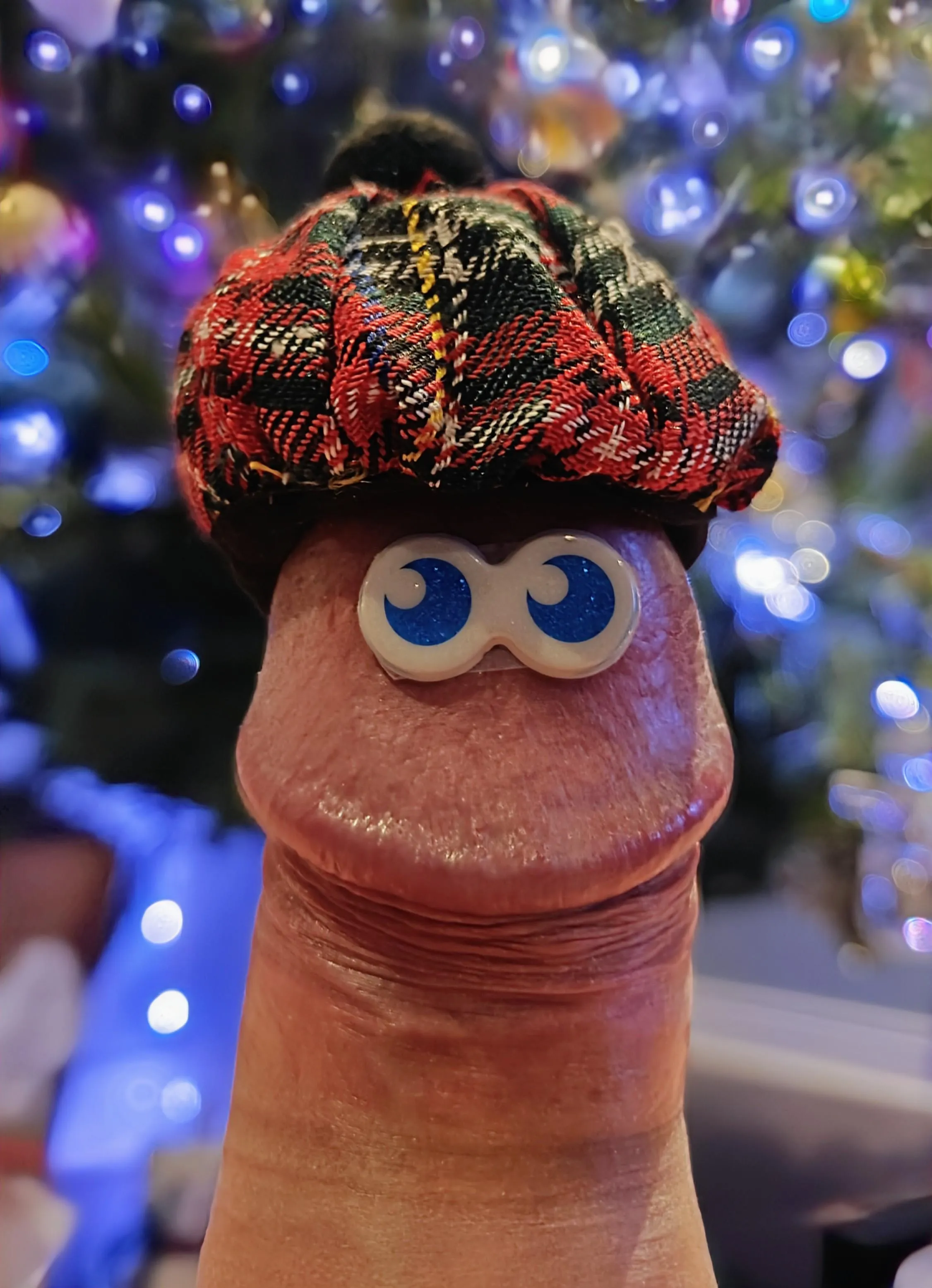 'Tis The Season posted by mymember1