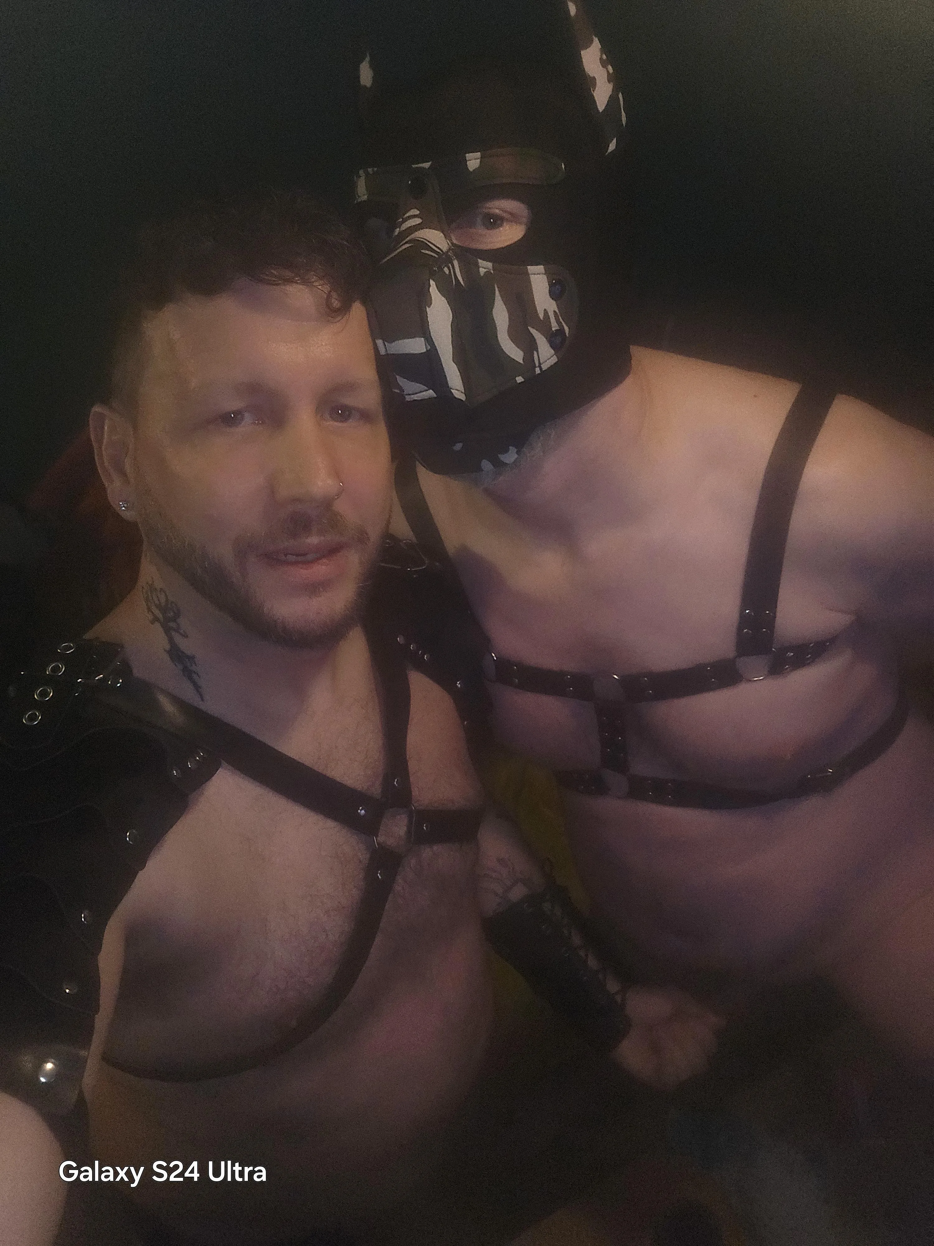 Who's a good boy? posted by Gizmondo82