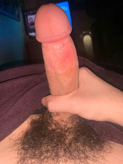 22 hairy bwc looking for a sub bottom sc : derekgrenthen by QuickVisit1171