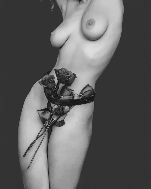 Some flowers, like sunflowers, can track the sun across the sky, a phenomenon called heliotropism. by modeladventurer