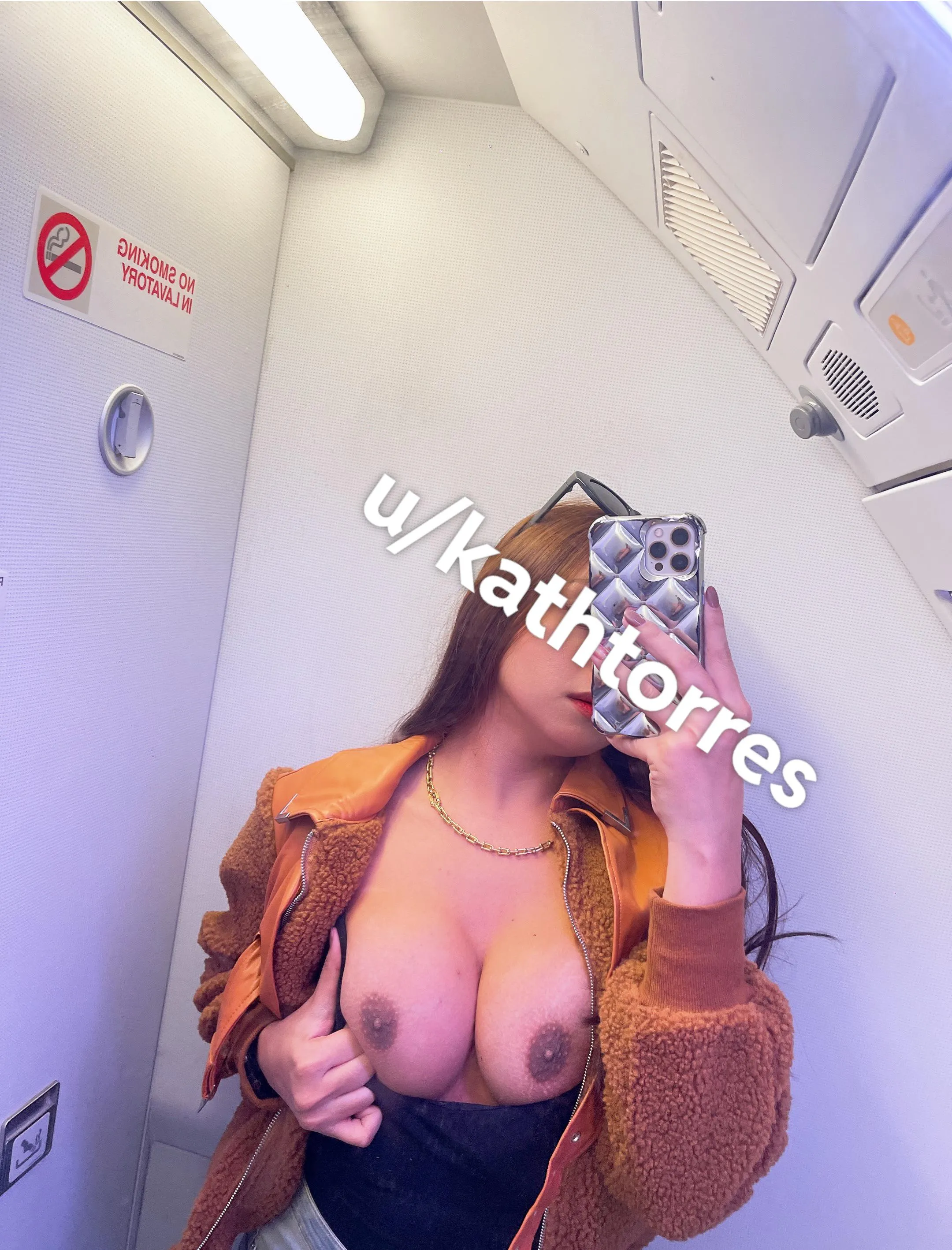 (f) Exhibitionist in the Airplane Lavatory posted by kathtorres
