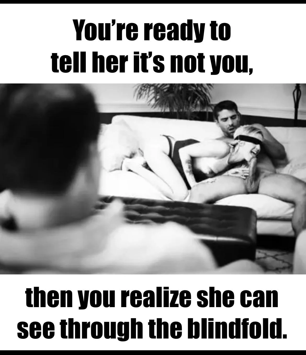 Sly vixen posted by SpiderandtheRabbit