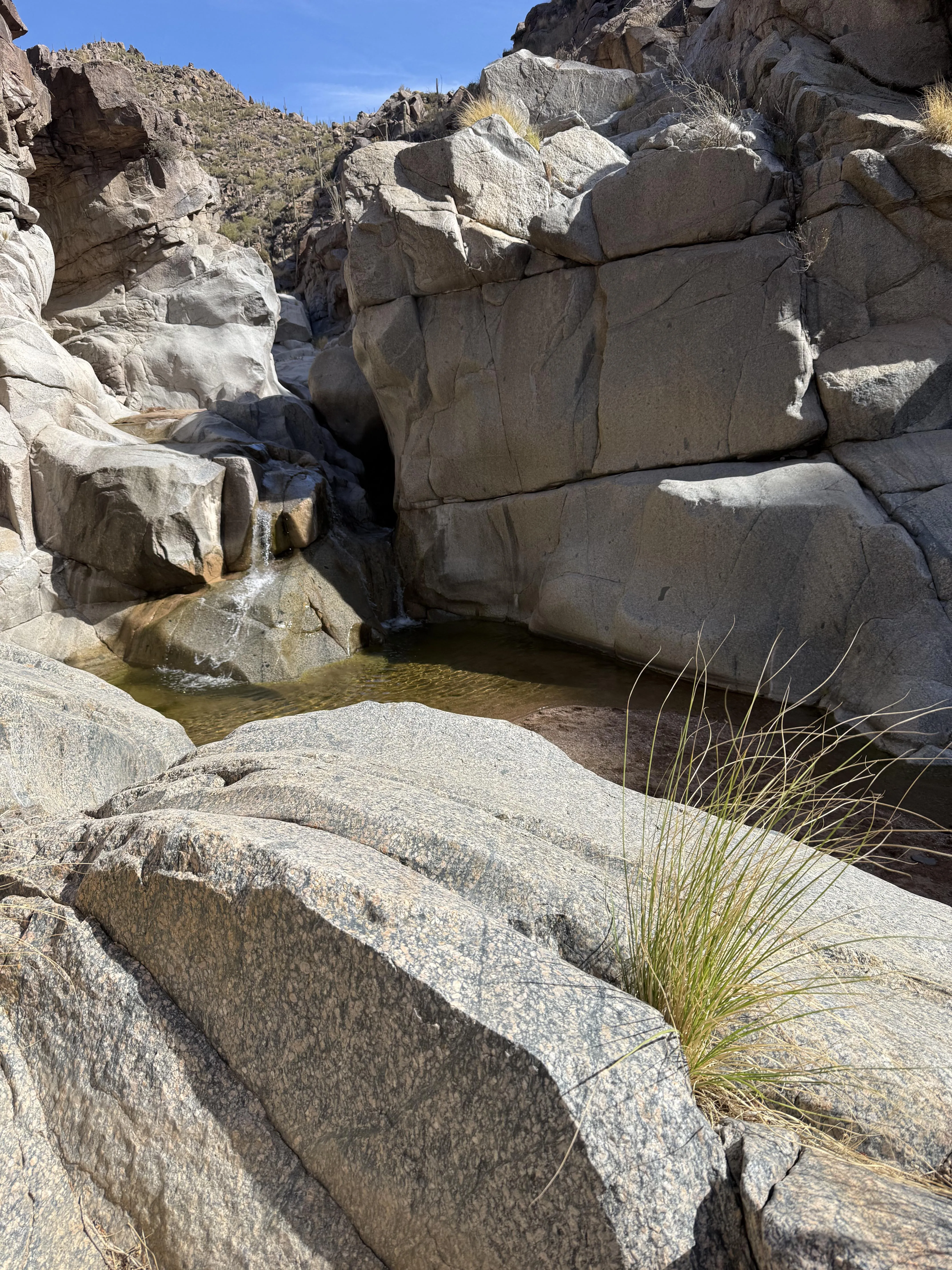 Was a beautiful day and water was flowing. Met two other couples and had a great day posted by JandAPHX