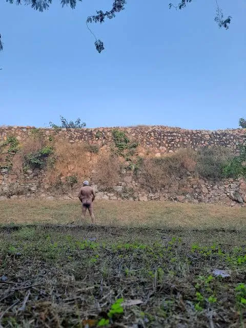 Let's climb the fort posted by tiny_naturist