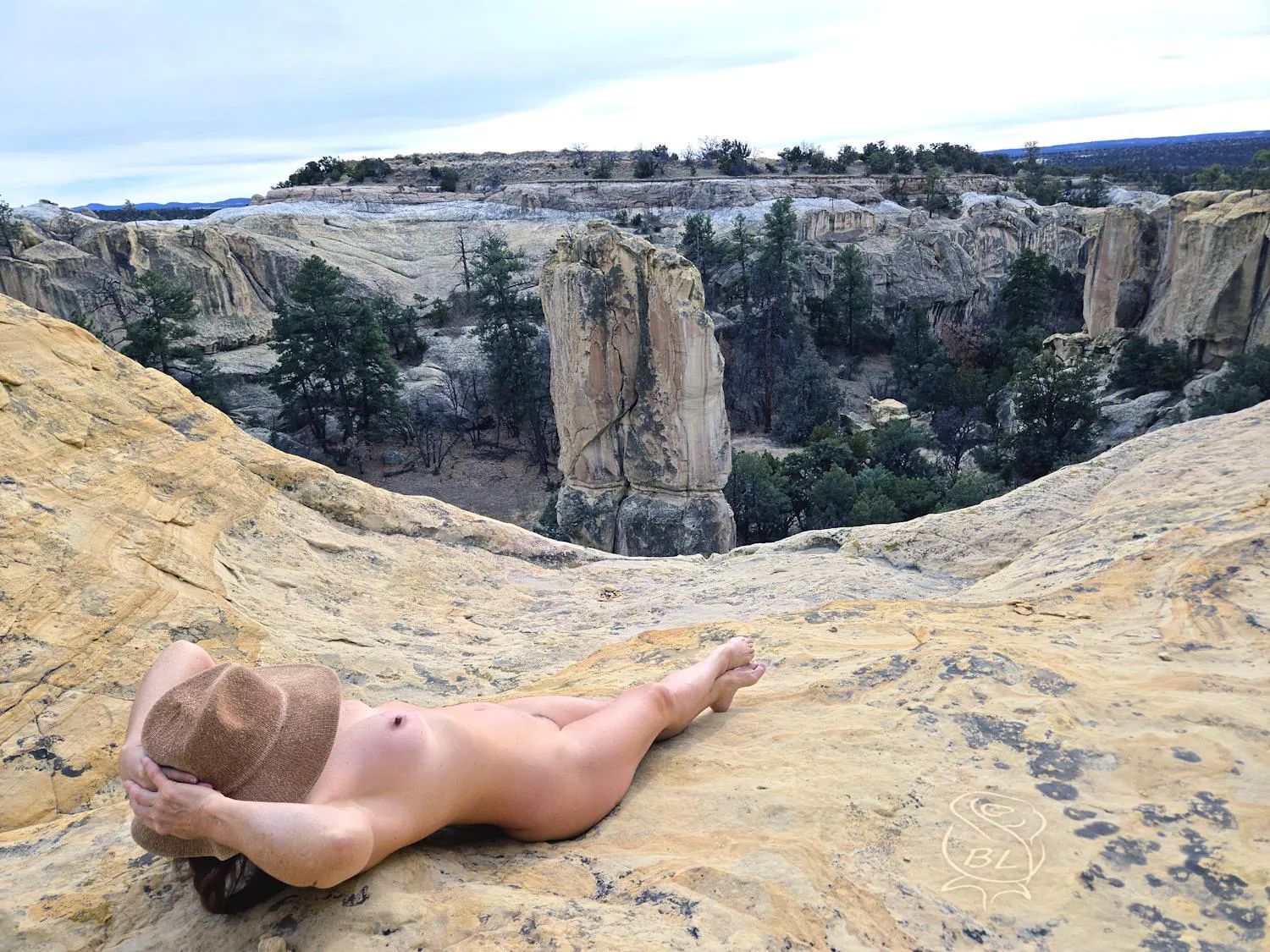 Resting on the Rim posted by BareLeiaRose