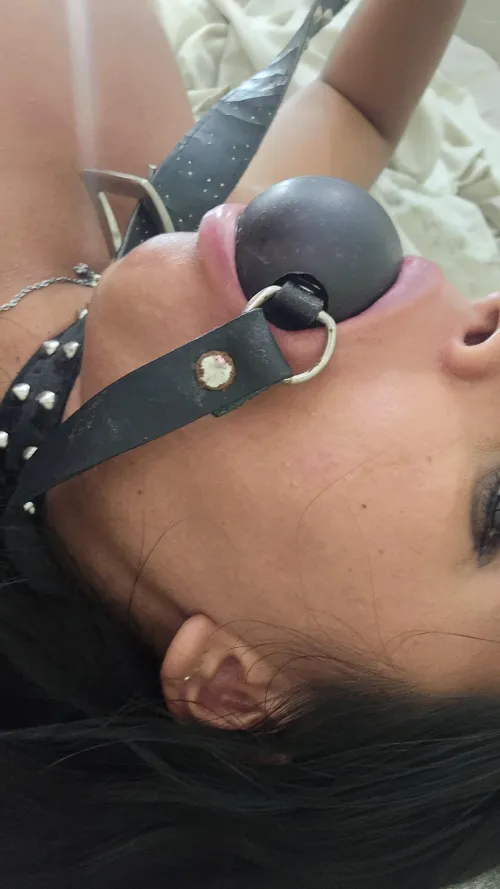 Ready to be used, by you. by Naook